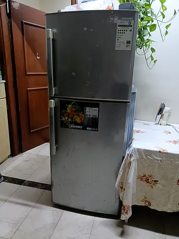 Samsung Top Mount Double Door Refrigerator