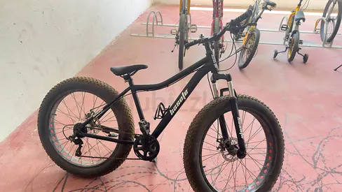 Mountain Bike with Front Suspension and Gear System