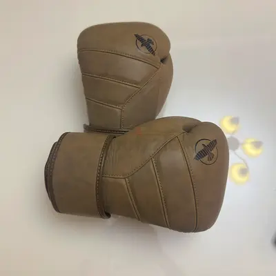 Hayabusa T3 LX Leather Boxing Gloves 14 oz