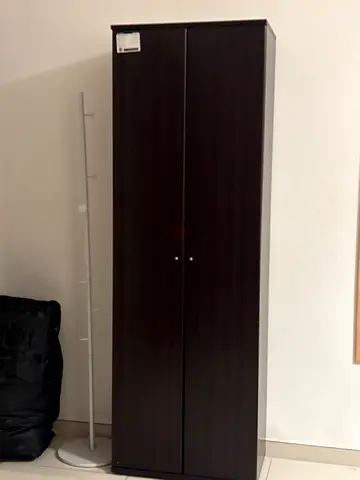 Dark Wood shoe Cabinet