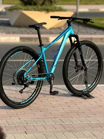 Silverback mtb/29