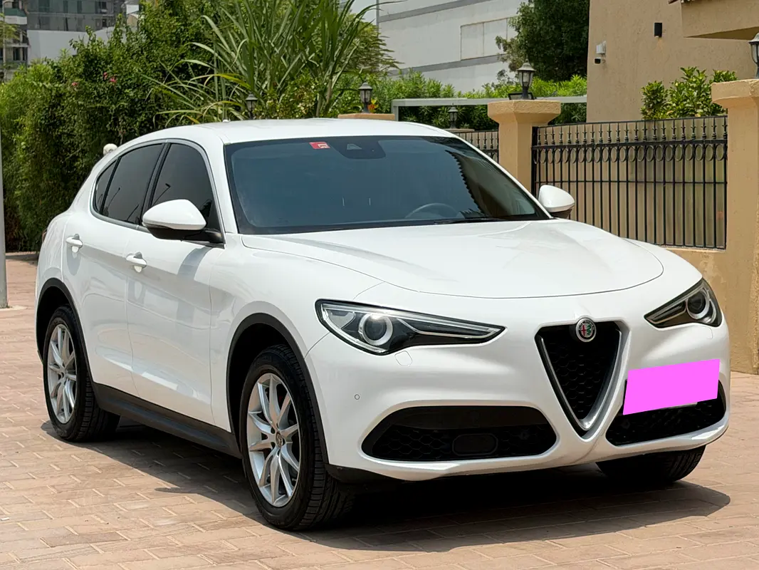 Alfa Romeo Stelvio 2019 — photo 1 of 19