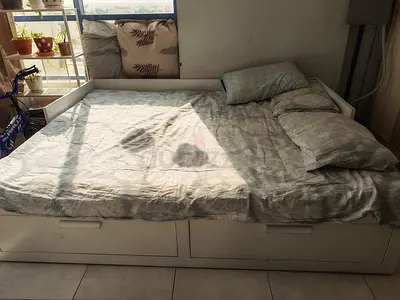 Bed