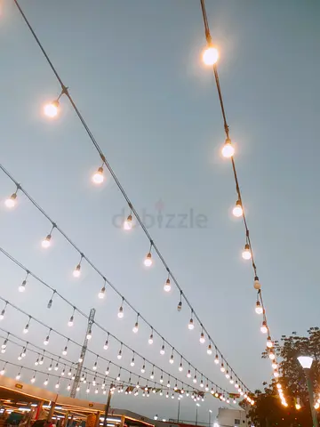 Outdoor String Festoon Lights - Warm White Bulbs, Long Strand 100 miter with bulbs 200 pic