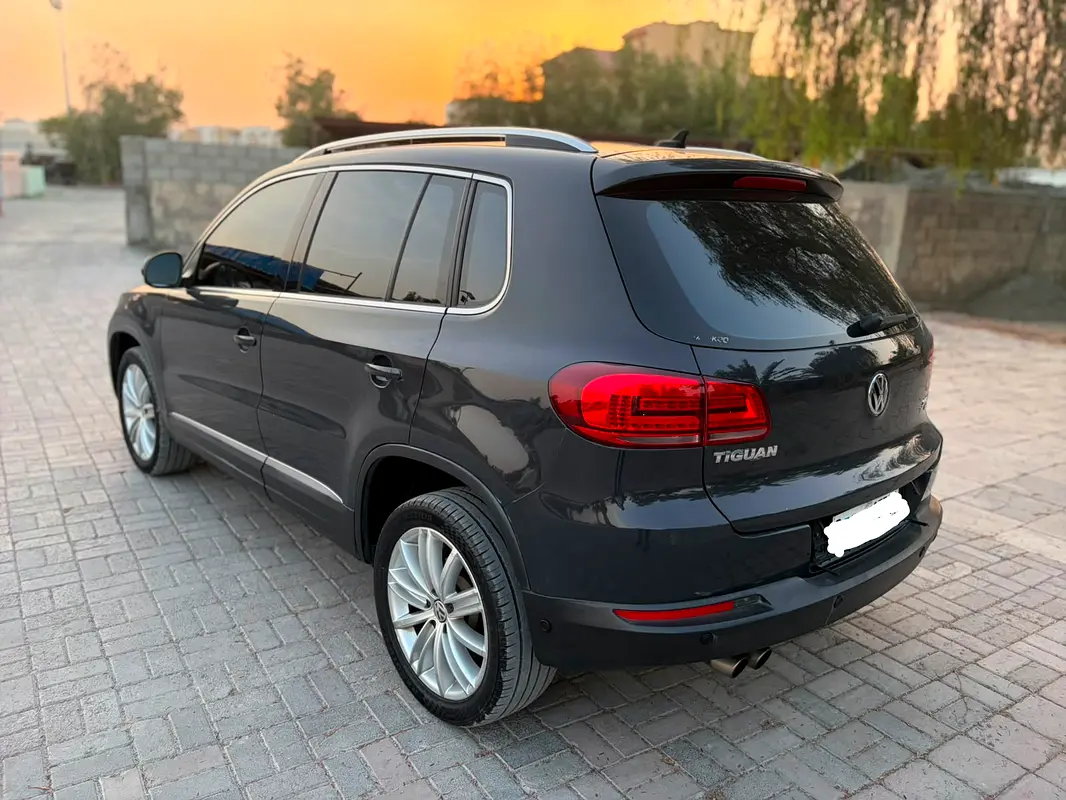 Volkswagen Tiguan 2015 — photo 1 of 20