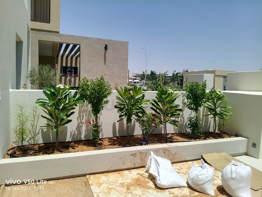 DPV_View_Image_0
