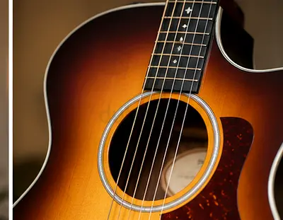 Taylor 214ce-SB DLX Acoustic-Electric Guitar