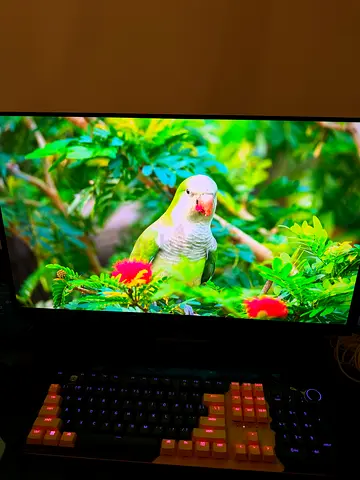 AOC Q27G4ZD 280hz 4K OLED