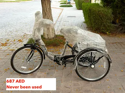 Bike - Tricucle with basket | Vaux Classic