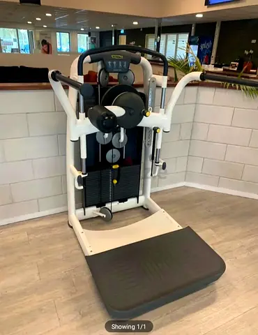 Technogym Standing Abdominal Machine
