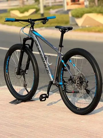 Silverback mtb/29