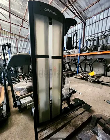 Life Fitness Omnia Arm Tower Biceps  Triceps |  Like New