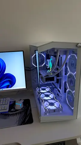 Gaming pc + setup