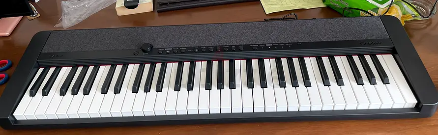 Casio Ct S1 Portable Piano Keyboard, Black: 61 textured, touch sensitive keys 61 contrasting tones (