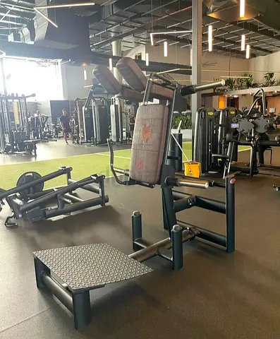 GYM80 Plate Loaded Squat Rack -