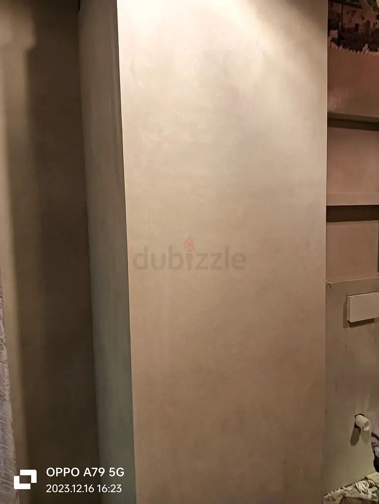 DPV_View_Image_3