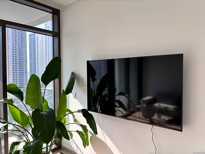 65 inch Flat Panel LED TV - Wall Mounted, 4K Ultra HD Smart TV