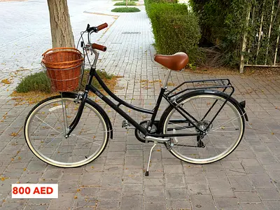 Spartan Bike with Basket