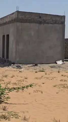 أرض صناعية للإيجار السنوي في منطقة العرقوب | 11 درهمًا إماراتيًا للمتر المربع | عقود طويلة الأجل متاحة | مثالية للأغراض الصناعية والتجارية