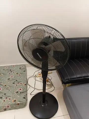 Black Stand Pedestal Fan - Good Working Condition
