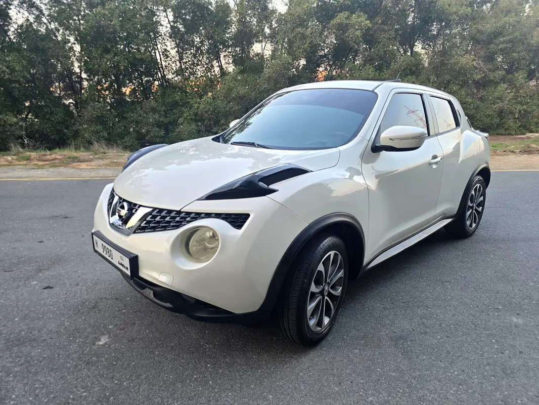 Nissan Juke 2016 — photo 1 of 14