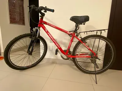 Red Prowten Cameron Mountain Bike