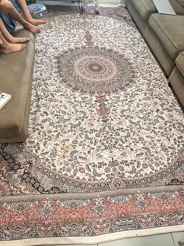 Large Persian-style area rug in beige and rust - good condition w 100” length 140” inches