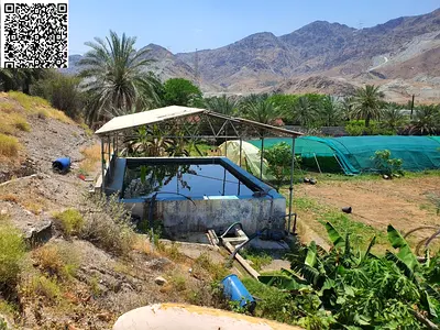 مزرعة للبيع بالفجيره منطقه البليدة