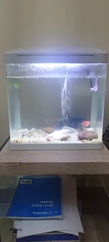 Small white LED desktop aquarium with filter and light and food/magnizum/water cleaner