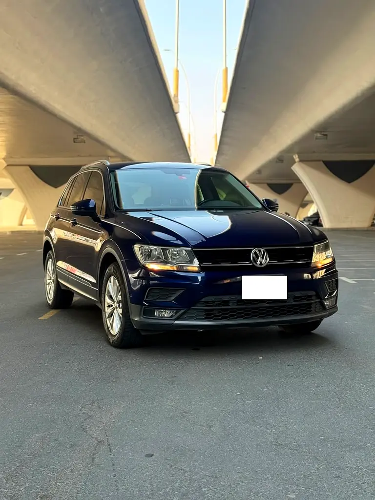 Volkswagen Tiguan 2019 — photo 1 of 14