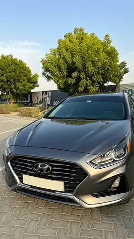 2019 Hyundai Sonata SE - American Specs - Well Maintained