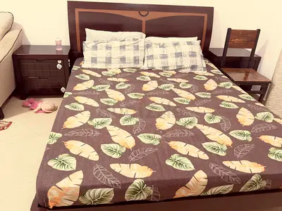 IKEA Queen Bed (160x200)