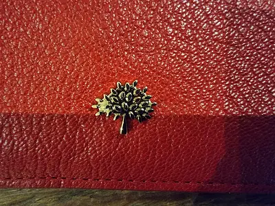 Red leather mulberry purse with tree emblem - good condition