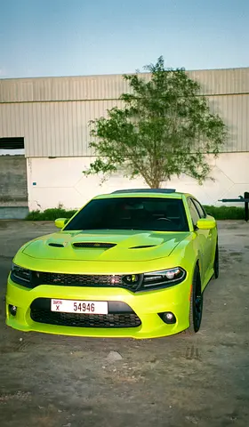 2019 Dodge Charger Scat Pack | 6.4L V8 HEMI | American Specs
