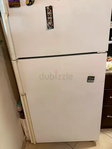 Urgent most go today Fridge