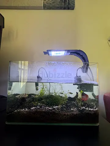 Natural plants glass aquarium with LED light and filter and heater- with red eared turtles