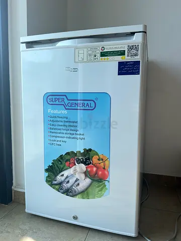 Super General Mini Upright Freezer - Compact Single Door, Good Condition
