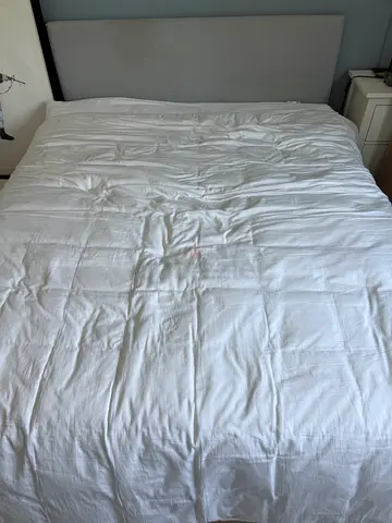 Free ikea queen bed