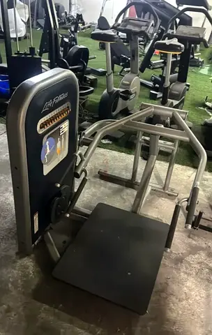 Life Fitness Squat