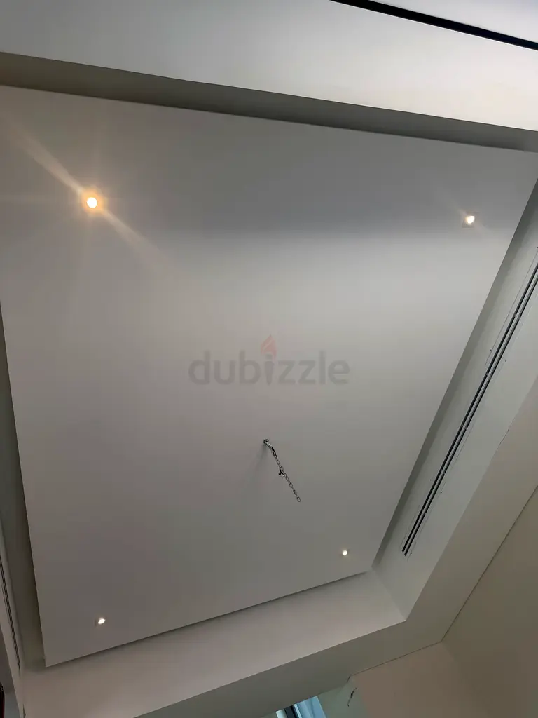 DPV_View_Image_0