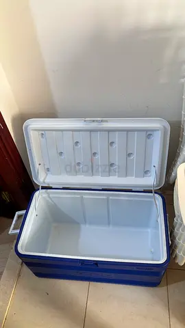 Large Portable Cooler/Icebox