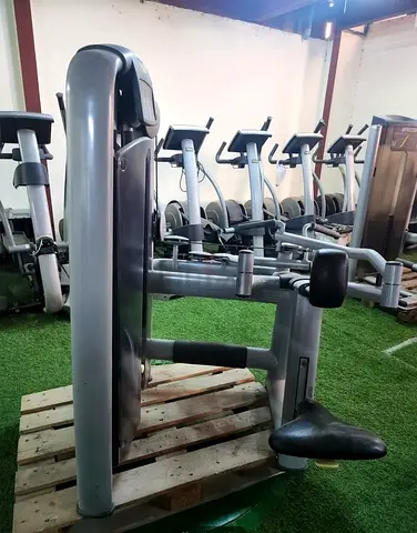 Technogym Upper Back