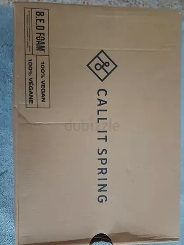 Call It Spring Shoes