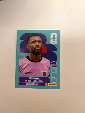 Panini sticker