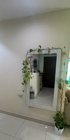 Wall Mirror