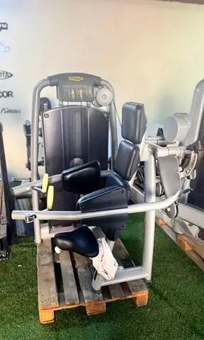 Technogym Delts Machine