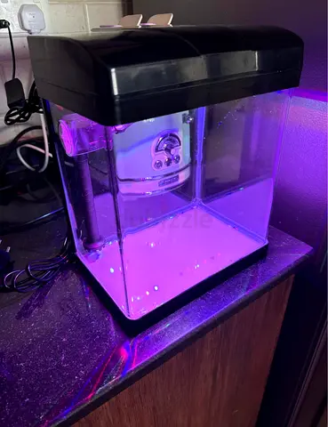 Small LED Aquarium Tank with Filter and Light and many accessories - ALMOST NEW