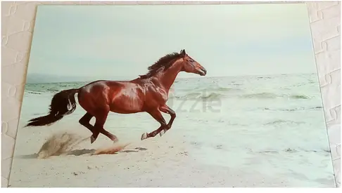 Lucky horse Wall art (Tempered glass)