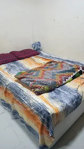 Fully furnished One BHK( BED, HALL, KITCHEN)flat for rent ( July only )