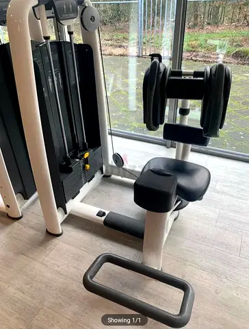 Technogym Rotary Torso Machine
